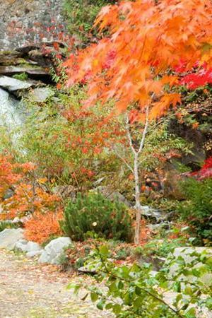 Cottonwood Falls Park